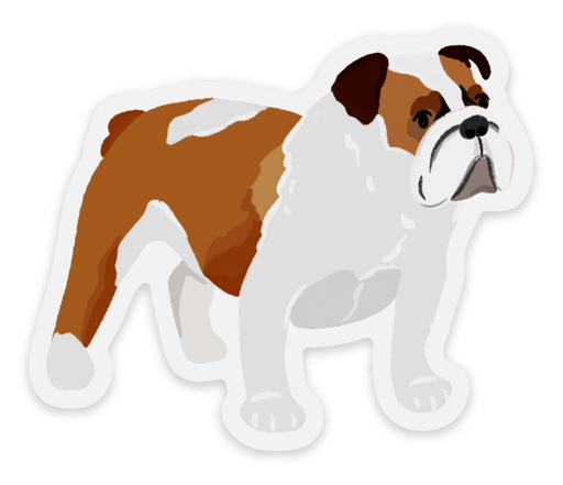 Clear English Bulldog Dog Sticker 2.8×2.35in