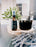 Pillow Spray | Slept - Travel Size