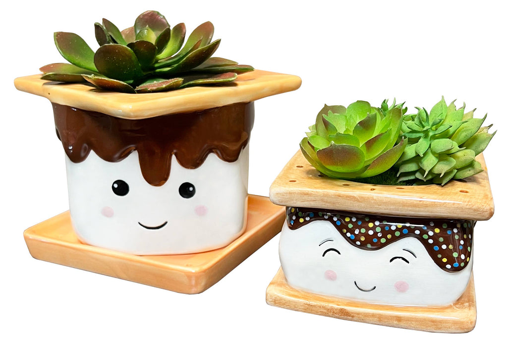 Tall S'mores Planter