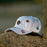Saskatchewan Icons All-Over Cotton Cap