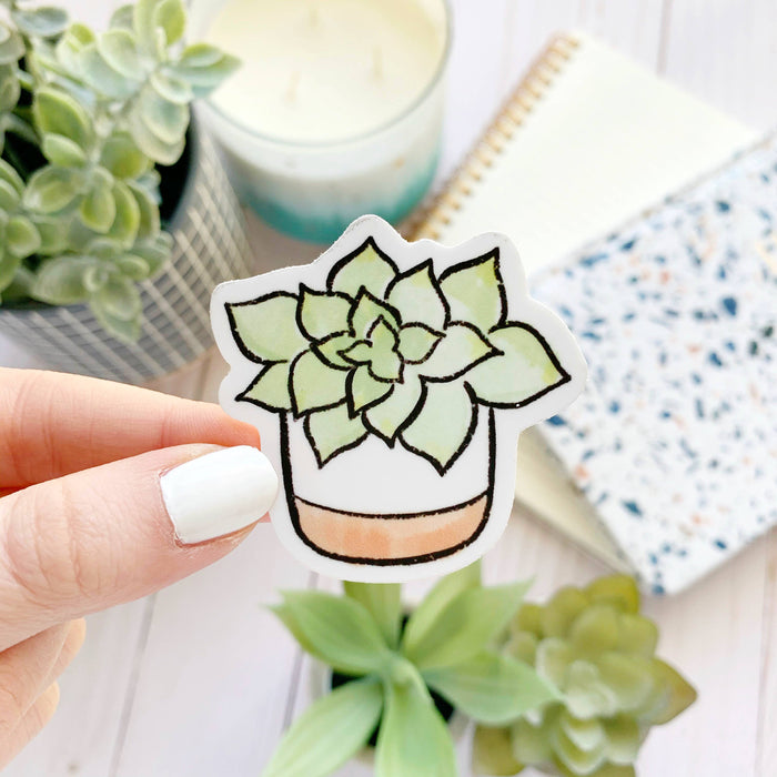 Watercolor Succulent Plant Sticker 2x2in.