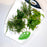 Wall Bucket Refill Herb Stripper /40