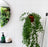 Clippy - Wall mounting kit for 5 plant pots