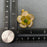 18K Gold Plated Stainless Steel Flower Post Earrings - FGS