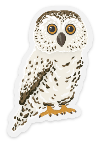 Clear Owl Sticker 3.25x2in