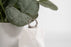 18K Gold PVD Stainless Steel Textured Twisted Huggie Hoop Earrings