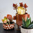 Tiny Treehouse for your plants