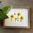 Sunflower Quilled Art, Paper Quilling Framed Wall Art
