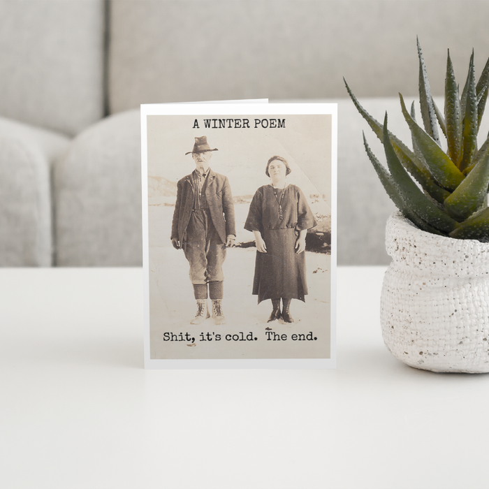 FunnyChristmas Card. A WINTER POEM. Shit, It's Cold. The End