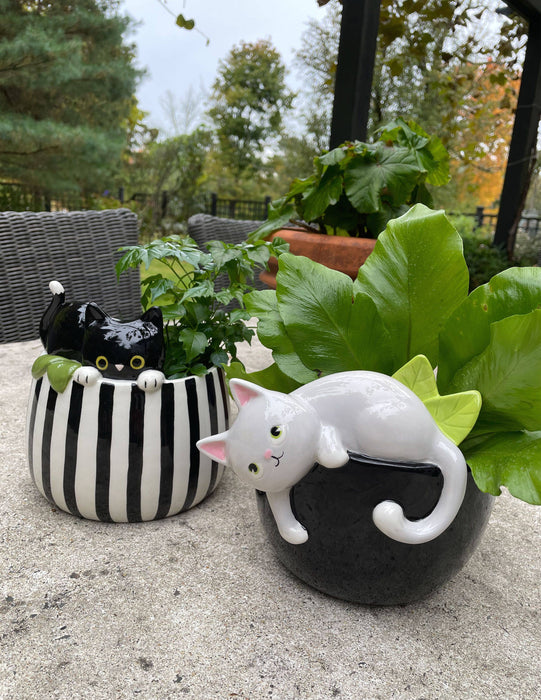 Peek-A-Boo Kitty Planter