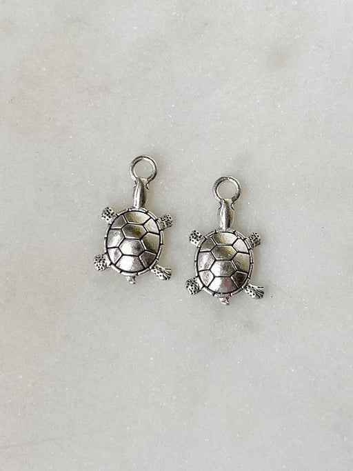 Turtle Silver Charm