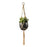 Seed & Sprout Let's Hang Macrame Plant Hanger