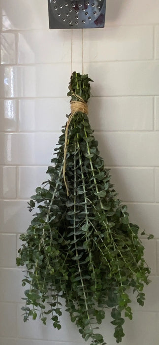 Fresh Eucalyptus Shower Bundle