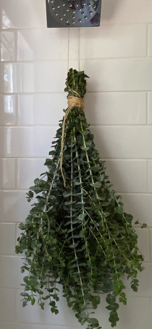Fresh Eucalyptus Shower Bundle