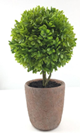 Boxwood Artificial 13" Potted