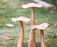 Mushrooms Wood (3) 11.5" x 23.5"
