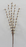 Pussy Willow Spray 43"