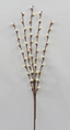 Pussy Willow Spray 43"