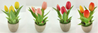 Tulip Artificial in Pot