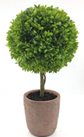 Boxwood Artificial 15" Potted