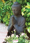 Buddha Pray Statue