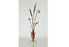 Stake Cattails 40"