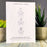 The Gin Gingerbread Man Plantable Greeting Card