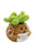 Large Emotional Support Pot Crochet Key Chain