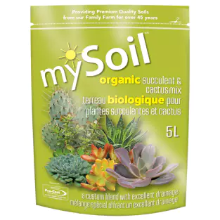 mySoil Succulent & Cactus Mix 5 L Org.