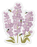 Busy Lavender Bees Sticker 2.5x3.2in