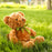 11-12" Bear Plush