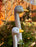 Geese