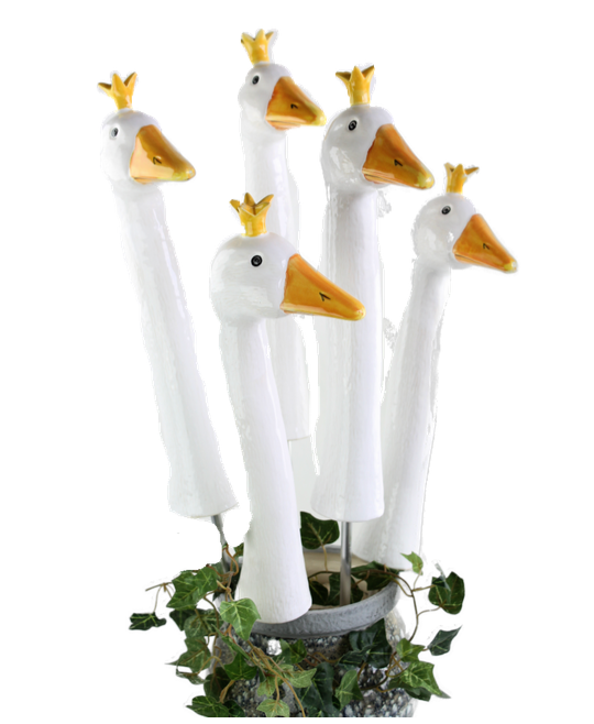 Crown Goose