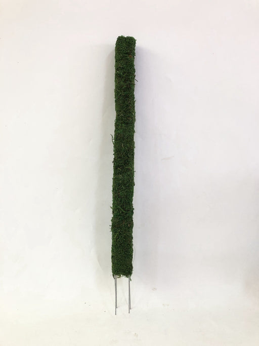 Moss Pole-Green- 61cm-2'