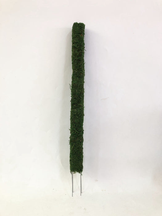 Moss Pole-Green- 61cm-2'