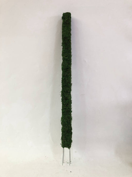 Moss Pole-Green- 81cm-3'