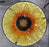 Bird Basin Glass Sunflower