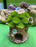 Fairy garden Mos House with flower top  4.5x 3.81