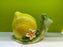 Lemon Snail