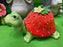 strawberry Turtle