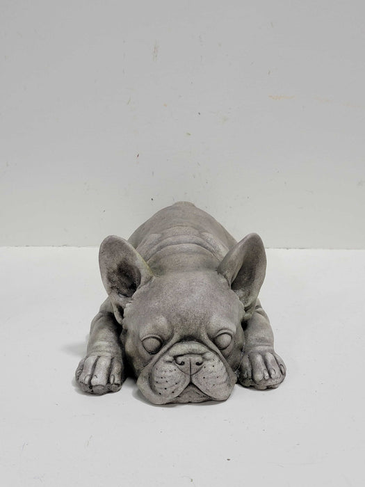 Dog - Pug Laying