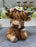 Highland Cow w/Glasses