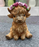 Highland Cow Tabletop