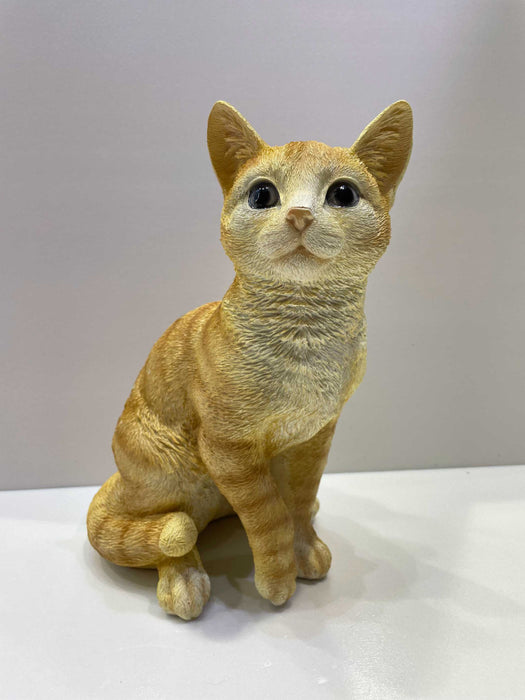 Cat - Ginger Sitting
