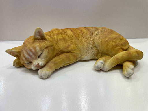 Cat - Ginger Laying