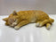 Cat - Ginger Laying