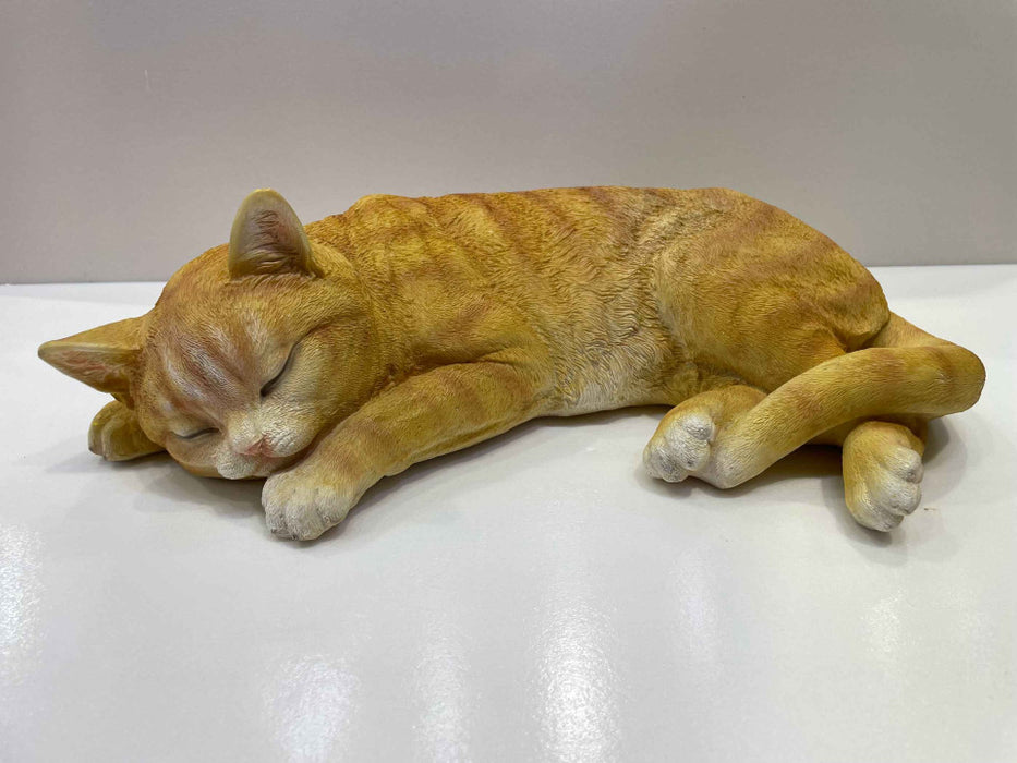 Cat - Ginger Laying
