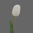 Real Touch Tulip White 50 x 18 cm