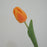 Real Touch Tulip Orange 50 x 18 cm
