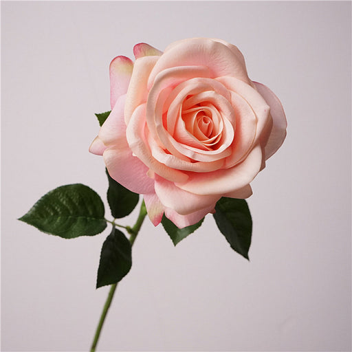 Real Touch Song of the Sea Rose Lt Pink 65 x 12 cm